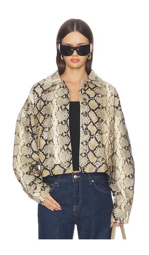 BLOUSON ANGEL en . Taille S. Also en M - LIONESS - Modalova