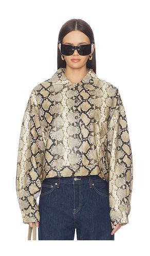BLOUSON ANGEL en . Taille M. Also en - LIONESS - Modalova