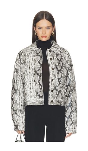 BLOUSON IMITATION CUIR ANGEL en . Taille L. Also en M, S, XL, XS, XXL, XXS - LIONESS - Modalova