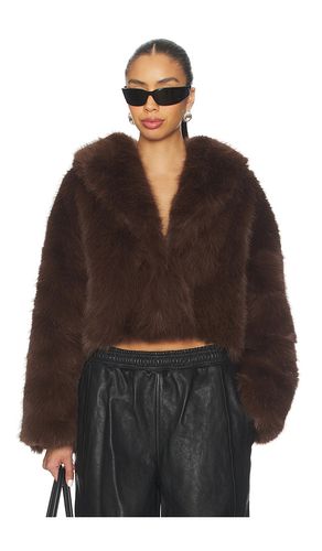 BLOUSON MADAME FAUX FUR en . Taille XXS. Also en XS, S, M, L, XL, XXL - LIONESS - Modalova