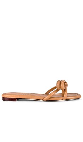 SANDALES HADLEY en . Taille 6. Also en 6.5, 7, 7.5, 8, 8.5, 9.5 - Loeffler Randall - Modalova
