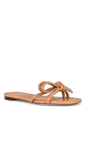 SANDALES HADLEY en . Taille 6. Also en 6.5, 7, 7.5, 8, 8.5 - Loeffler Randall - Modalova