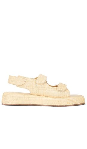 SANDALES BLAISE in . Size 9.5 - Loeffler Randall - Modalova