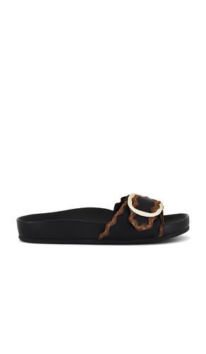 SANDALES IRIS in . Size 6, 9.5 - Loeffler Randall - Modalova