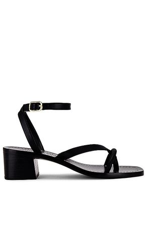 SANDALES ELOISE in . Size 6.5, 9 - Loeffler Randall - Modalova