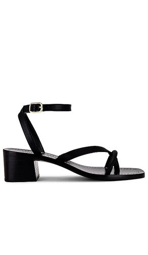 SANDALES ELOISE in . Size 6.5 - Loeffler Randall - Modalova