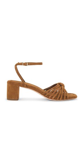 SANDALES À TALON OLIVIA in . Size 7, 7.5, 8, 8.5, 9, 9.5 - Loeffler Randall - Modalova
