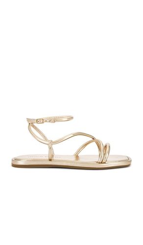 SANDALES NOOR en . Taille 8. Also en - Loeffler Randall - Modalova