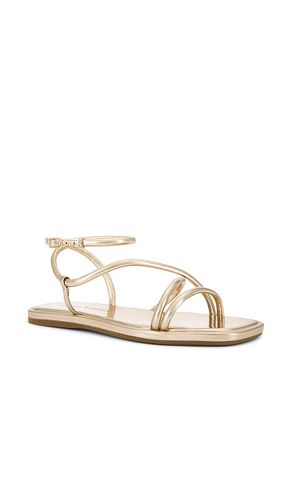 SANDALES NOOR en . Taille 8. Also en - Loeffler Randall - Modalova