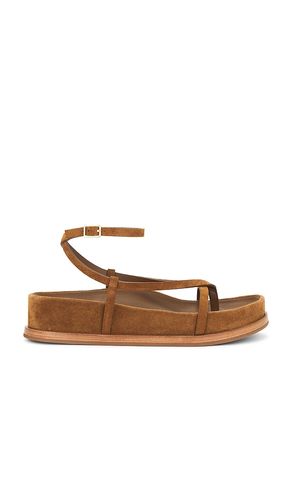 SANDALES in . Size 6, 6.5, 7.5, 8, 8.5, 9 - Loeffler Randall - Modalova