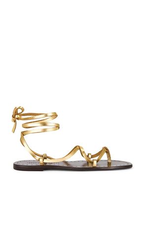 SANDALES LIANNA in . Size 6, 6.5, 7, 7.5, 8, 8.5, 9, 9.5 - Loeffler Randall - Modalova
