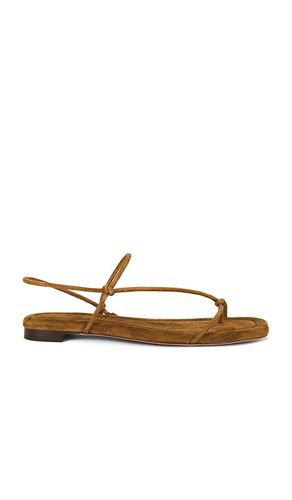 SANDALES ELEANOR in . Size 6, 6.5, 7, 7.5, 8, 8.5, 9, 9.5 - Loeffler Randall - Modalova