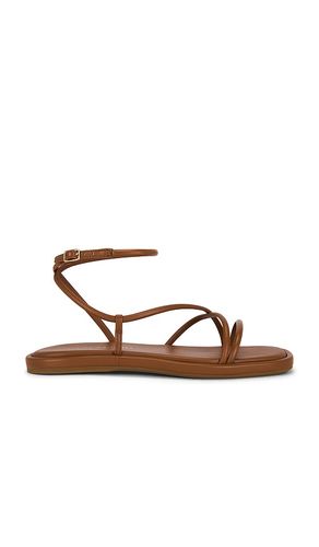 SANDALES PLATES NOOR en . Taille 8. Also en 8.5, 9.5 - Loeffler Randall - Modalova