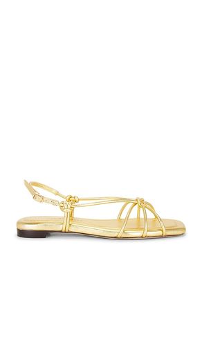 Karly Strappy Flat Sandal en . Taille 7. Also en 8 - Loeffler Randall - Modalova