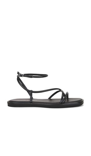 Noor Strappy Ankle Wrap Flat Sandal en . Taille 10. Also en 7, 7.5, 8, 8.5, 9, 9.5 - Loeffler Randall - Modalova