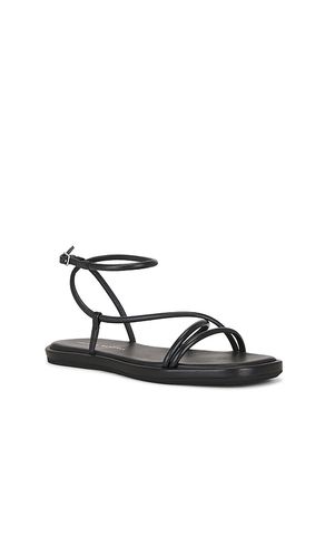 Noor Strappy Ankle Wrap Flat Sandal en . Taille 10. Also en 6, 7, 7.5, 8.5, 9 - Loeffler Randall - Modalova