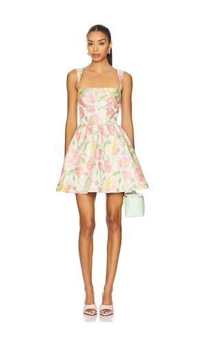 Ivy Mini Dress in . Size L. Also in M - Lovers and Friends - Modalova