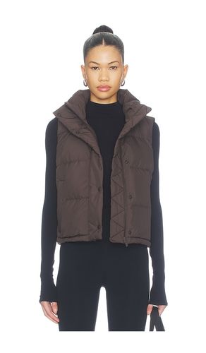 GILET en . Taille 2. Also en 4, 6, 12, 8, 10, 14 - lululemon - Modalova