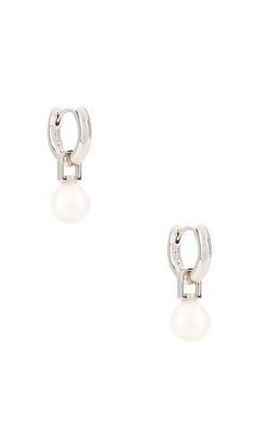 BOUCLES D'OREILLES AMALFI in - Luv AJ - Modalova