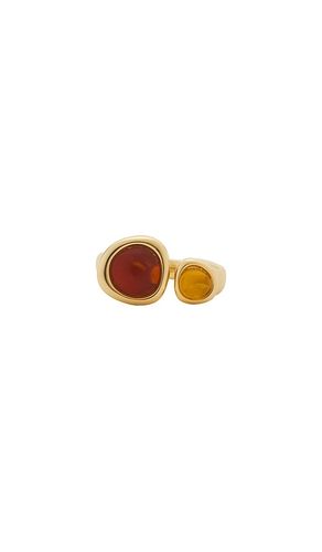 BAGUE À CLOUS THE HONEY RESIN en . Taille 5. Also en 7 - Luv AJ - Modalova