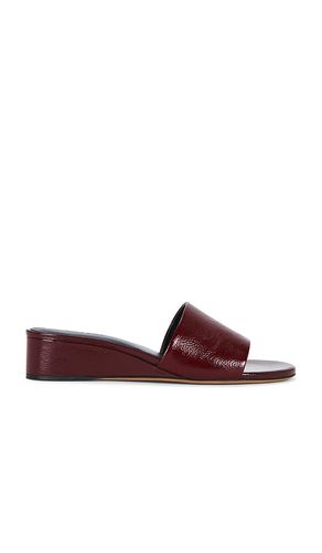 NU-PIED ZEPPA en . Taille 36. Also en 37, 38, 39, 40 - Mansur Gavriel - Modalova