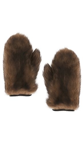 Magda Butrym GANTS en Brown - Magda Butrym - Modalova