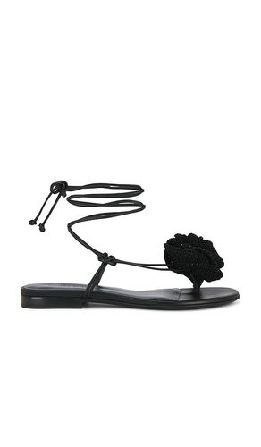 SANDALES WRAP AROUND FLOWER en . Taille 36. Also en 36.5, 37, 37.5, 39 - Magda Butrym - Modalova