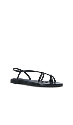 SANDALES IGGY STRAPPY en . Taille 10. Also en 5.5, 6, 6.5, 7, 8, 8.5, 9, 9.5 - Madewell - Modalova