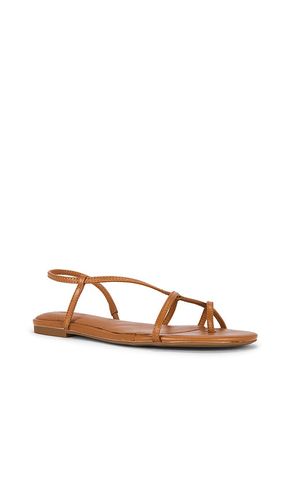 SANDALES IGGY STRAPPY en . Taille 10. Also en 6, 6.5, 7, 7.5, 8, 8.5, 9, 9.5 - Madewell - Modalova