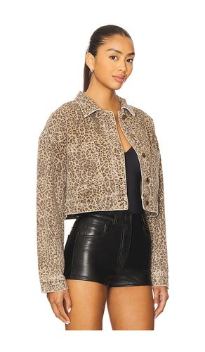 BLOUSON ANOUK en . Taille S. Also en - MINKPINK - Modalova