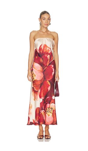 ROBE CHERYL en . Taille L. Also en M, XL - MISA Los Angeles - Modalova