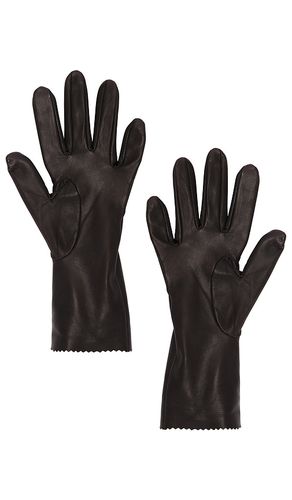 GANTS COURTS EN CUIR en . Taille 7. Also en 7.5 - MANOKHI - Modalova