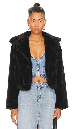 BLOUSON PAYTON en . Taille L. Also en M, S, XL, XS, XXS - MORE TO COME - Modalova