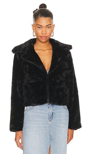 BLOUSON PAYTON en . Taille L. Also en M, S, XL, XS, XXS - MORE TO COME - Modalova