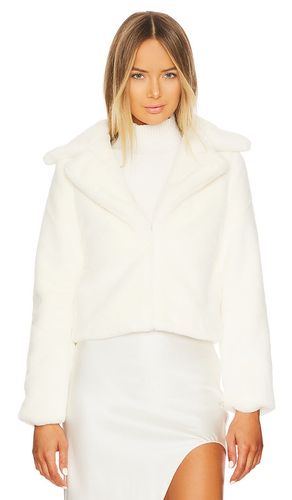 BLOUSON PAYTON en . Taille XL. Also en XXS - MORE TO COME - Modalova