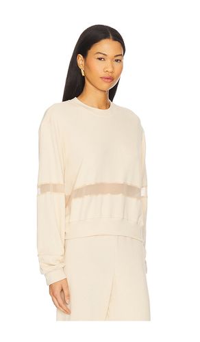 Inacio Crop Crew Neck in . Size M. Also in S, XS - Michael Lauren - Modalova