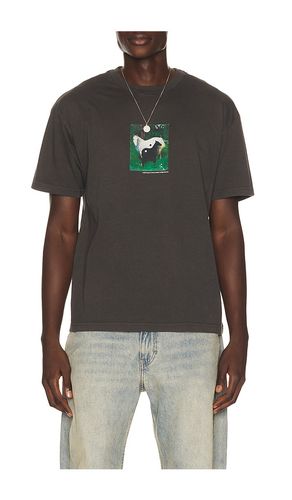 T-SHIRT PASTURE en . Taille L. Also en M, S, XL/1X, XS - Museum of Peace and Quiet - Modalova