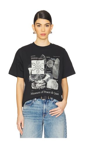 Fibonacci T-Shirt in . Size S, XL/1X, XS - Museum of Peace and Quiet - Modalova