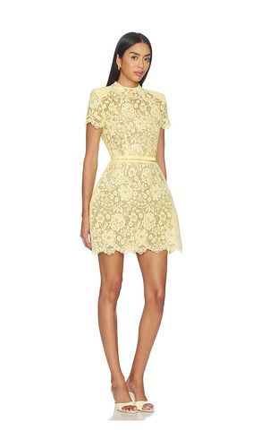 ROBE MILLY en . Taille 10/L. Also en 4/S, 6/SM, 8/M - Nadine Merabi - Modalova