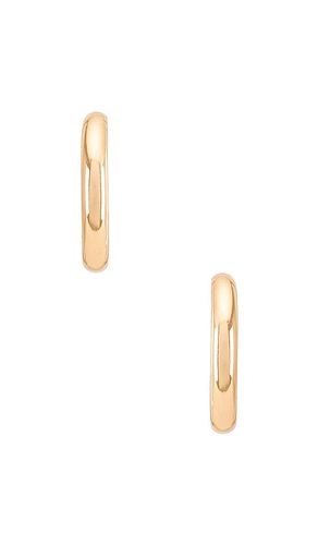 Adina Hoop in - Natalie B Jewelry - Modalova