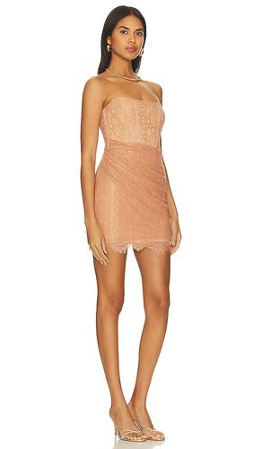 Belladonna Mini Dress in . Size L. Also in XL - NBD - Modalova