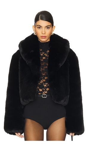 BLOUSON BROOKLYN en . Taille S. Also en XXS, XS, M - NBD - Modalova