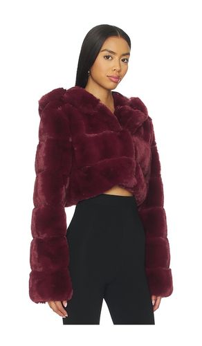 BLOUSON KIRA en . Taille XS. Also en - NBD - Modalova