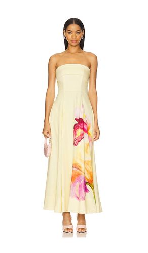 ROBE MI-LONGUE MELODY CORSET en . Taille 0. Also en 4 - NICHOLAS - Modalova