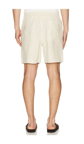 Gregor Shorts 1454 en . Taille M. Also en S, XXL/2X - NN07 - Modalova