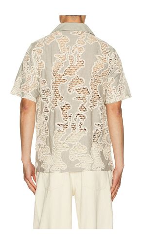 CHEMISE JUIO en . Taille L. Also en S, XXL/2X - NN07 - Modalova