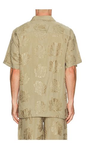 CHEMISE ROCCO PALMOZA en . Taille L. Also en M, S, XL/1X - OAS - Modalova
