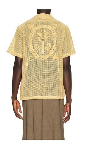 CHEMISE CUBA TERRA en . Taille L. Also en S, XL/1X - OAS - Modalova