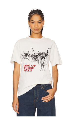 Long Horn T-Shirt in . Size M, S, XL/1X - ONE OF THESE DAYS - Modalova