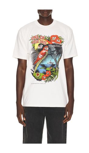 T-SHIRT TROPICAL en . Taille L. Also en M, S, XL/1X, XS, XXL/2X - ONE OF THESE DAYS - Modalova